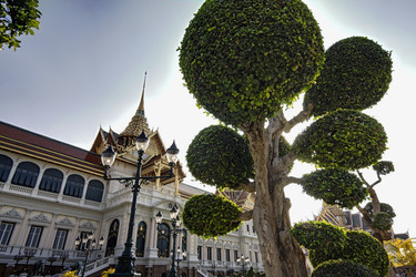 Similar image 1557086