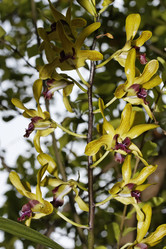 Similar image 1557093