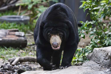 Similar image 1557163