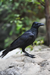 Similar image 1557164