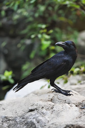 Similar image 1557166