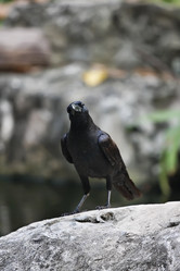 Similar image 1557168