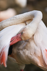 Similar image 1557170