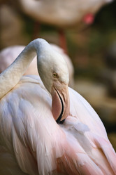 Similar image 1557175