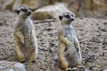 Similar image 1557183