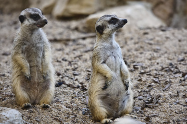 Similar image 1557184