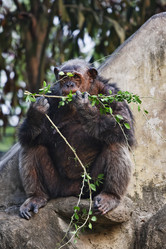 Similar image 1557187