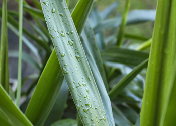 Similar image 1557188