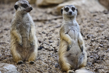 Similar image 1557195