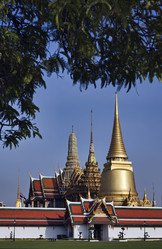 Similar image 1557205