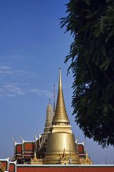 Similar image 1557209