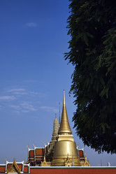 Similar image 1557210