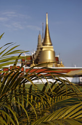 Similar image 1557211