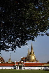 Similar image 1557214