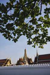 Similar image 1557226