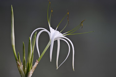 Similar image 1557253