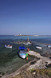 Similar image 1557263