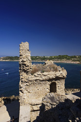 Similar image 1557285