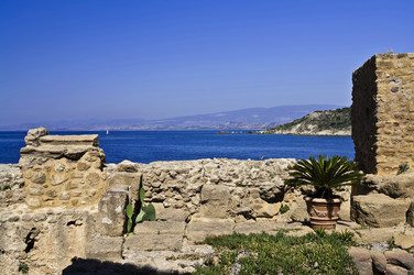 Similar image 1557296