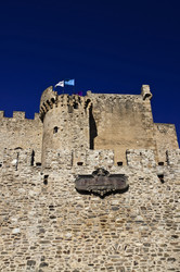 Similar image 1557312