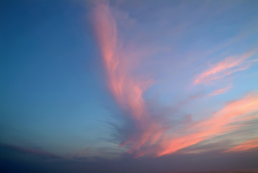 Similar image 1557346