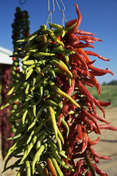 Similar image 1557347