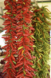 Similar image 1557348