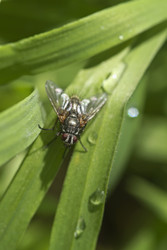 Similar image 1557400