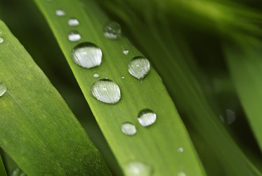 Similar image 1557401