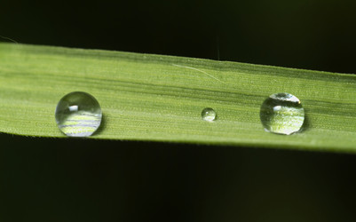 Similar image 1557402