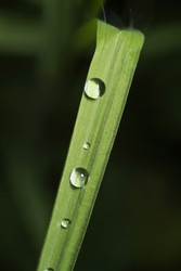 Similar image 1557403