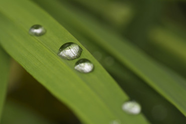 Similar image 1557404