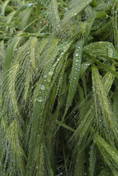 Similar image 1557428