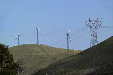 Similar image 1557521