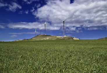 Similar image 1557524