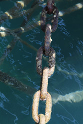 Similar image 1557559