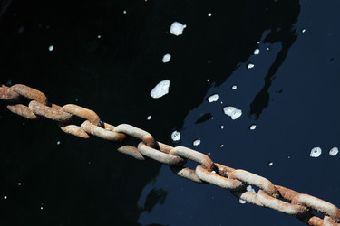 Similar image 1557560