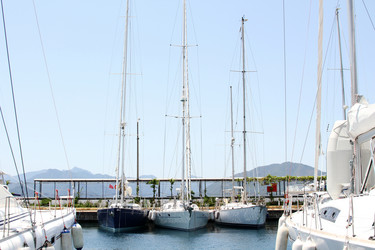 Similar image 1557565