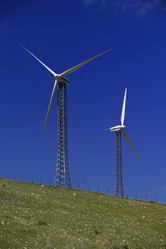 Similar image 1557584