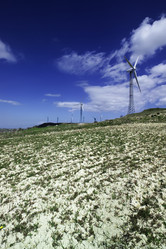 Similar image 1557595