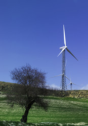 Similar image 1557608