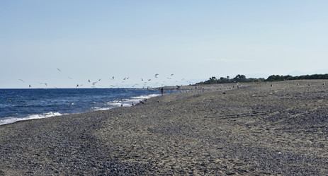 Similar image 1557660