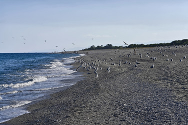 Similar image 1557661