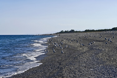 Similar image 1557662