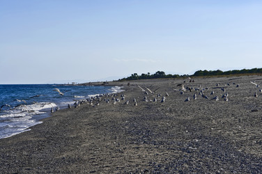 Similar image 1557663