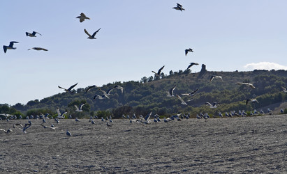 Similar image 1557664