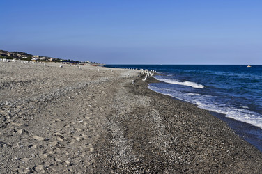 Similar image 1557675