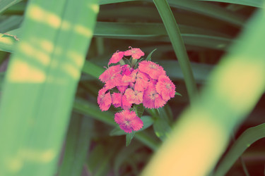 Similar image 1557854