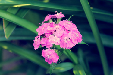 Similar image 1557855