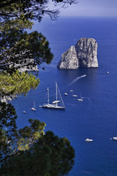 Similar image 1557900